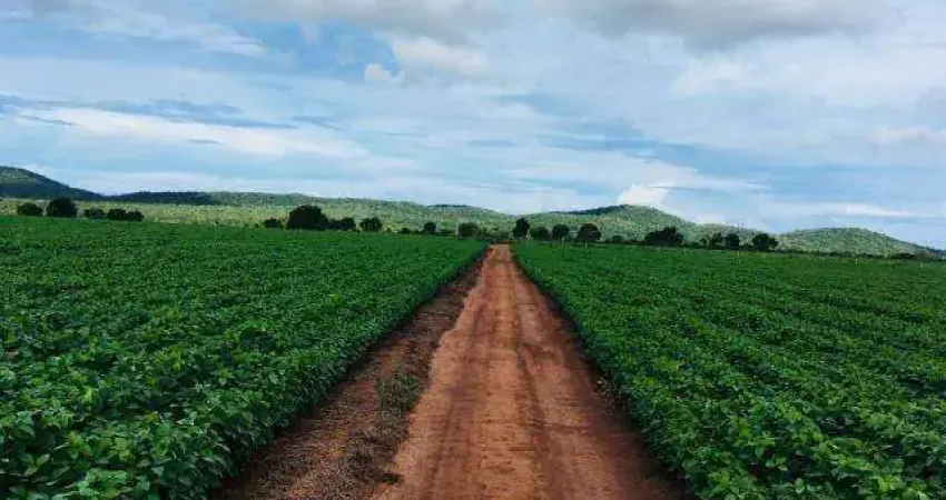 Fazenda à venda, 3 quartos, ÁREA RURAL DE UBERLÂNDIA - Uberlândia/MG