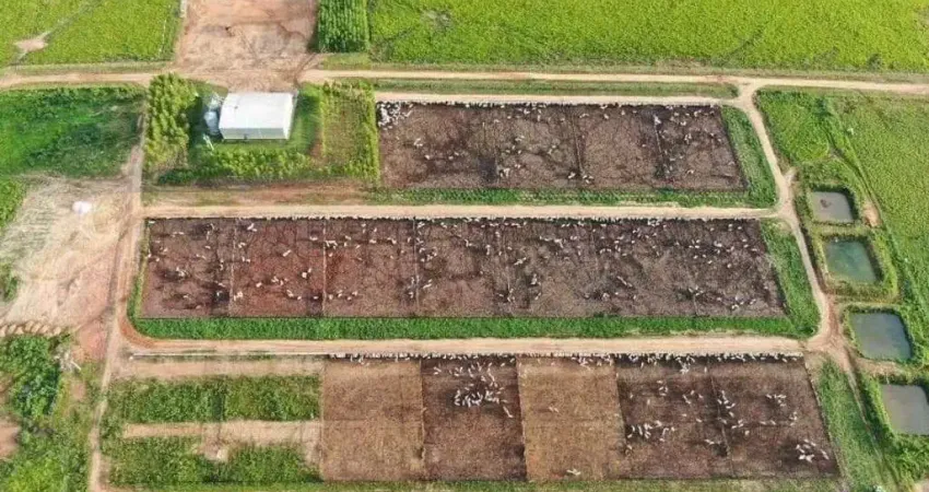 Excelente fazenda para pecuária na região de Comodóro-MT divisa com Rondônia.