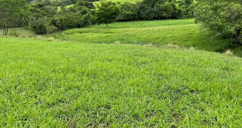 Chácara / sítio à venda na Avenida Minas Gerais, Centro, Araguari