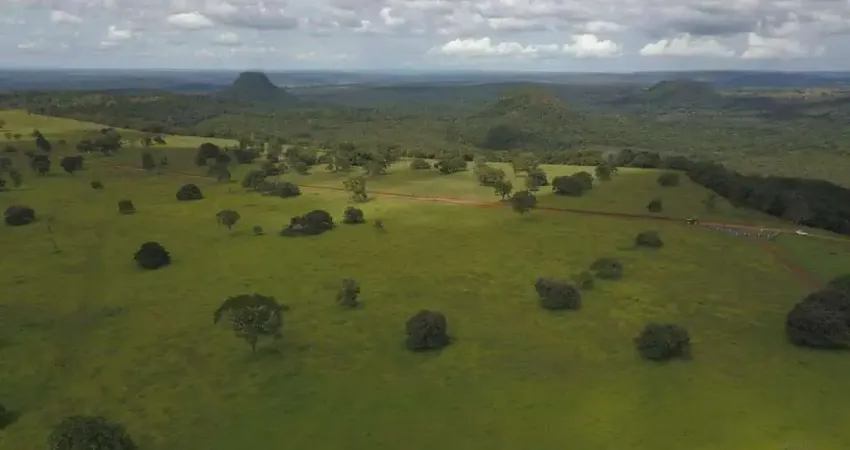 Fazenda em Pecuária em Chapadão do Céu - GO: Ótima Oportunidade!
