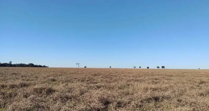 Fazenda de pecuária com aptidão para lavoura em Paraíso das Águas - MS
