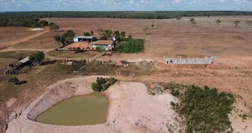 Oportunidade Única! Fazenda magnifica em Guaraí - Tocantins