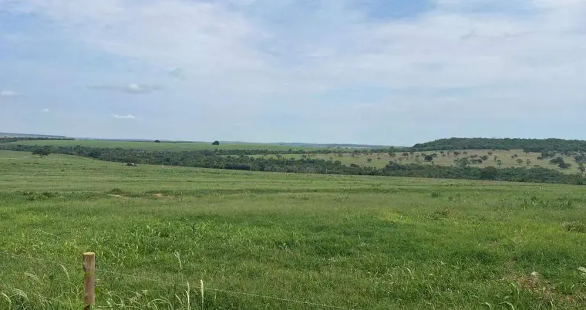 Fazenda 387,2 hectares de Dupla Aptidão Próxima a Uberlândia, MG!