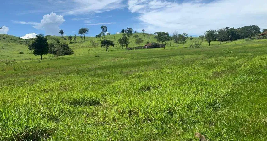 Chácara / sítio à venda na Avenida Minas Gerais, Centro, Araguari
