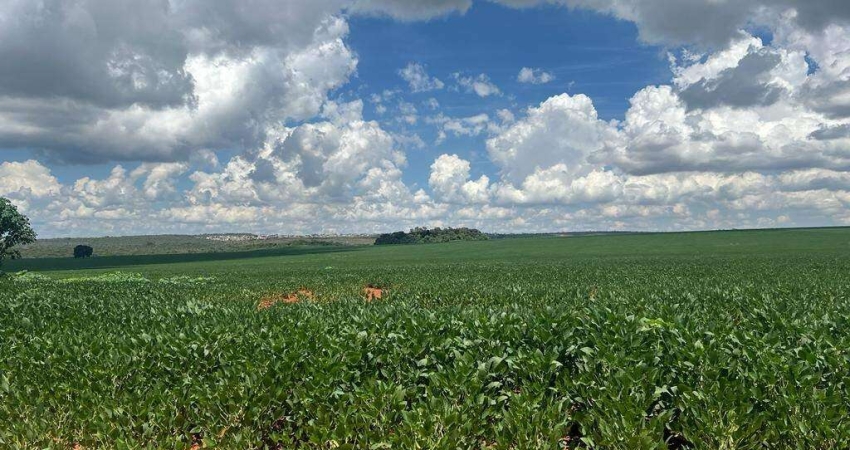 Fazenda de 1.714 hectares em Ocidental-GO próxima a Luziânia