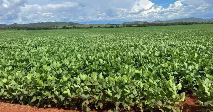 Chácara / sítio com 1 quarto à venda na Rural, Centro, Padre Bernardo