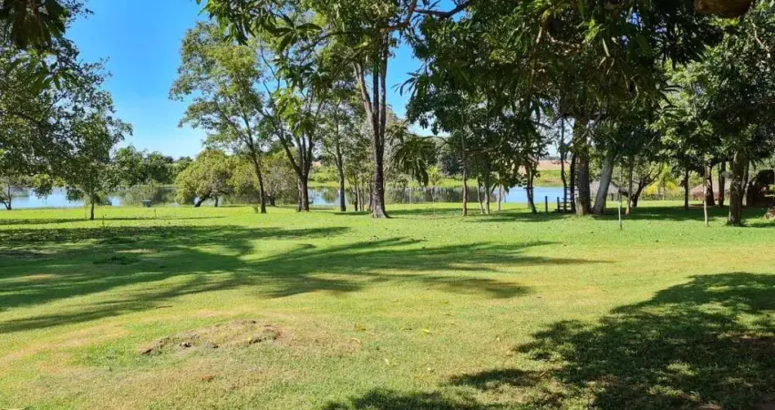 Excelente Fazenda com dupla aptidão em Mozarlândia - Go