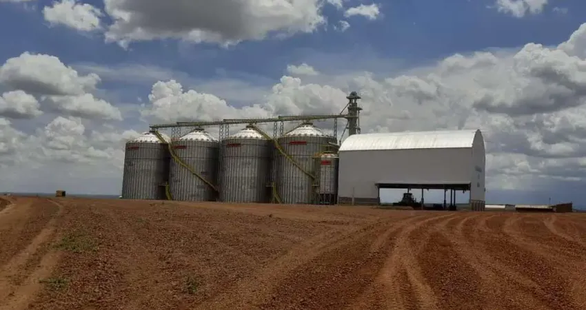 Fazenda com dupla aptidão a venda em São João d'aliança - GO, próximo a Formosa - GO