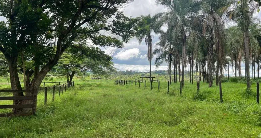 Excelente Fazenda a venda com dupla aptidão no município Prata - MG.