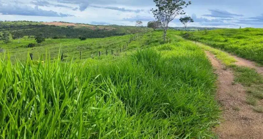 Fazenda a venda na area rural de campo alegre - GO.