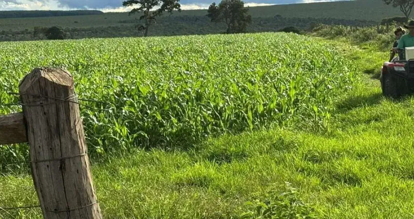 Grande fazenda a venda na área rural de Brasilândia de Minas - MG