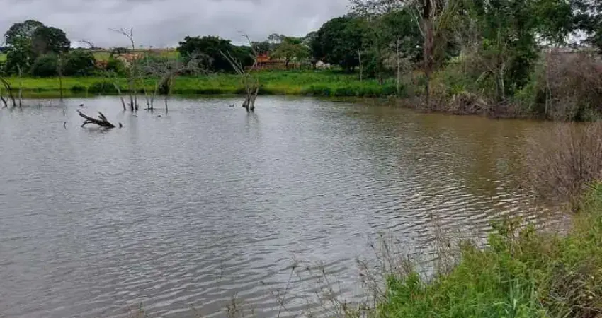 Fazenda de dupla aptidao a venda na área rural do município de Lagamar de Patos - MG, Próximo a Coromandel - MG