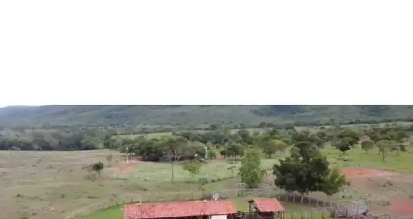 Fazenda à venda, AREA RURAL DE BURITIS MG - Buritis/MG