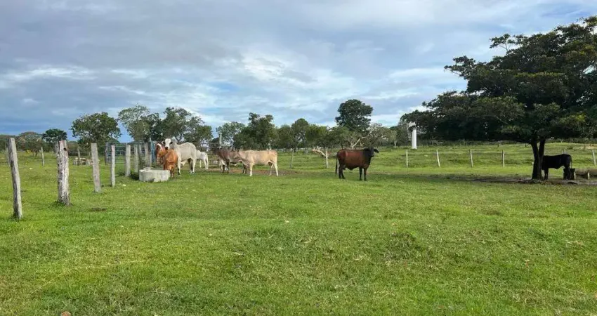 Fazenda à venda, Área Rural de Niquelândia - Niquelândia/GO