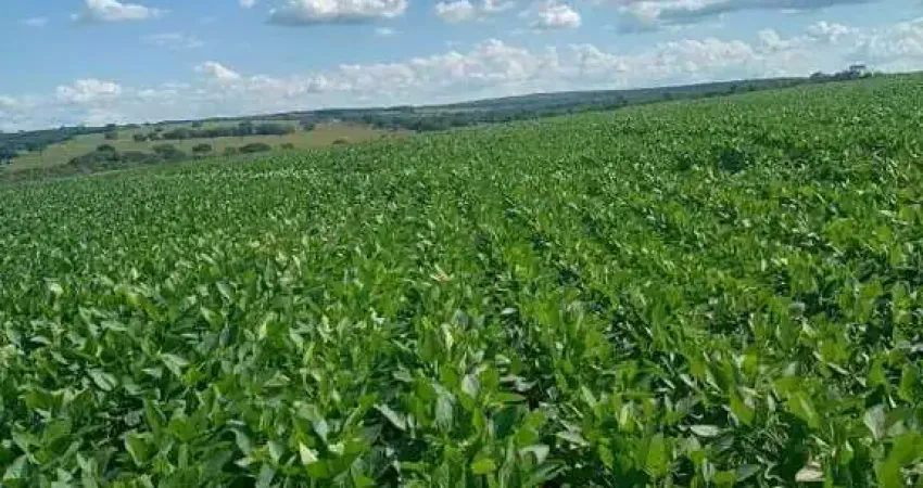 Fazenda à venda, Área Rural de Monte Alegre - MONTE ALEGRE DE MINAS/MG