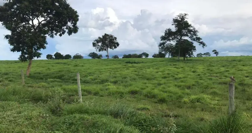 Fazenda à venda, AREA RURAL DE FLORES DE GOIAS - GO - Flores de Goiás/GO
