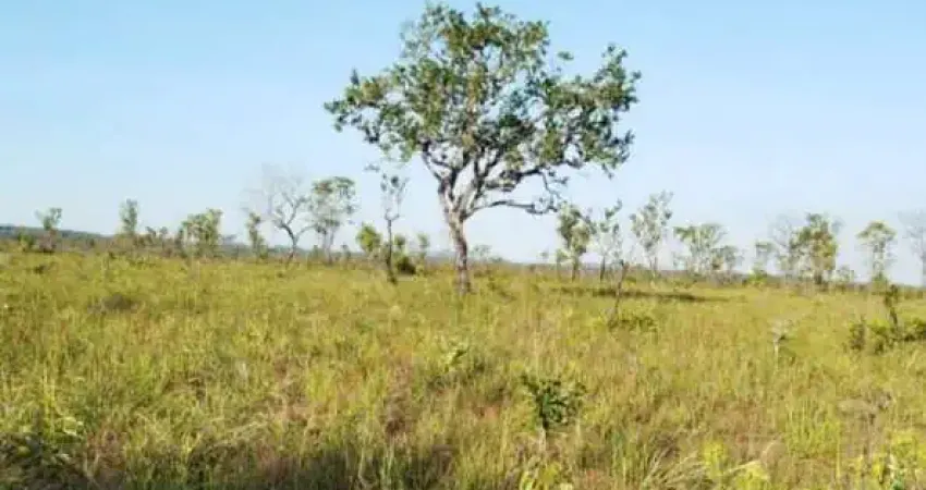 Fazenda à venda, AREA RURA DE PALMAS TO - PALMAS/TO