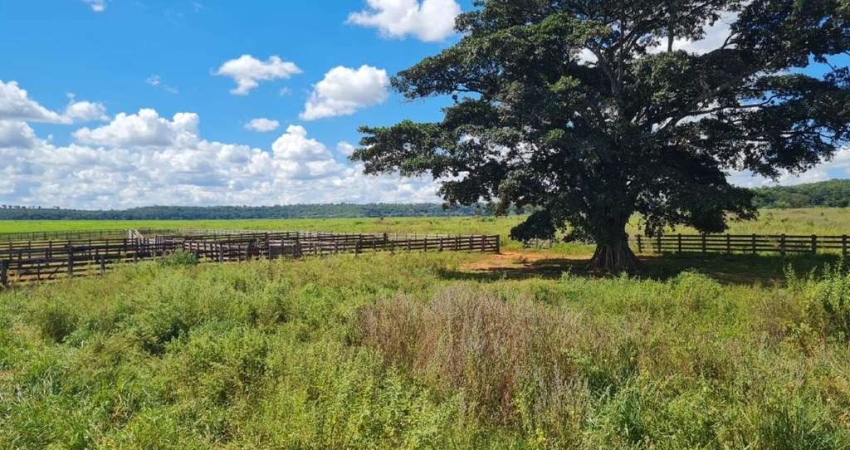 Fazenda à venda, Área Rural de Paranaiguara - PARANAIGUARA/GO
