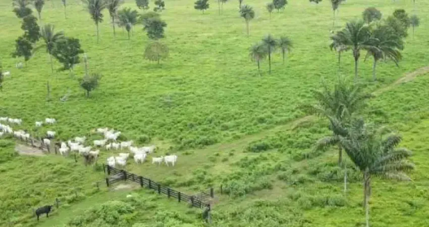Fazenda à venda, AREA RURAL DE ARAGUAINA - TO - ARAGUAINA/TO