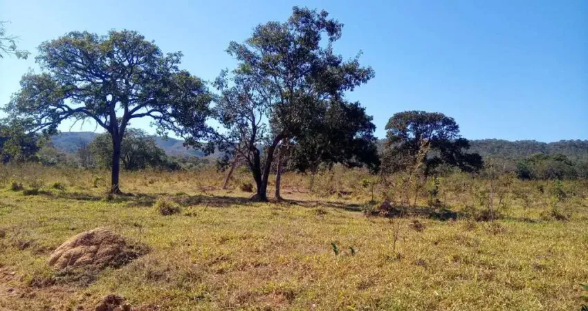 Fazenda à venda, AREA RURAL MARZAGAO - GO - Marzagão/GO