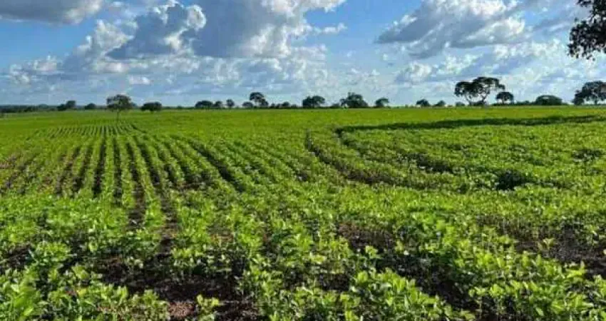 Fazenda à venda, AREA RURAL DE PARAISO DO TOCANTINS -TO - Paraíso do Tocantins/TO