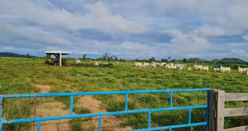 Fazenda à venda, Área Rural de Vila Rica - MT - Vila Rica/MT