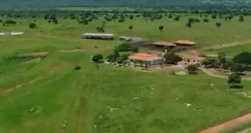 Fazenda à venda, AREA RURAL DE ALVORADA DO NORTE - GO - Alvorada do Norte/GO