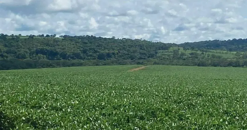 Fazenda à venda, Área Rural de Mineiros - MINEIROS/GO
