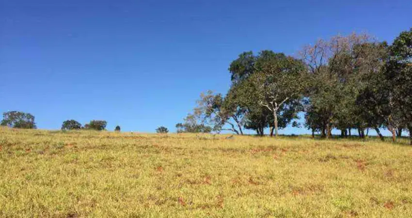 Fazenda à venda, Área Rural de Indianópolis - INDIANOPOLIS/MG