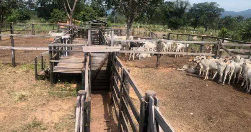 Fazenda à venda, 6 quartos, 3 suítes, ÁREA RURAL DE UBERLÂNDIA - Uberlândia/MG