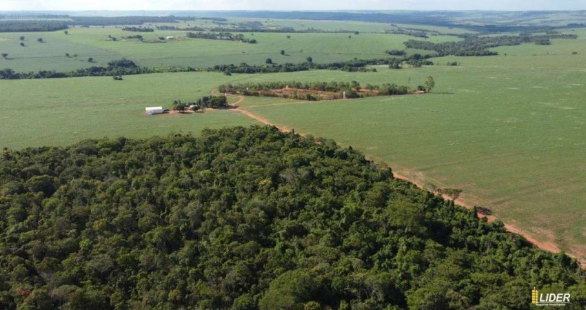 Fazenda à venda, AREA RURAL DE JATAI GO - JATAI/GO