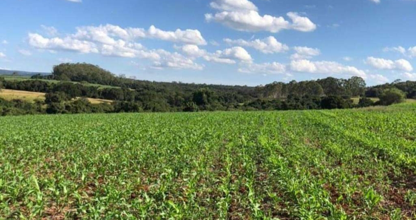 Fazenda à venda, AREA RURAL PATROCINIO PAULISTA - SAO PAULO/SP
