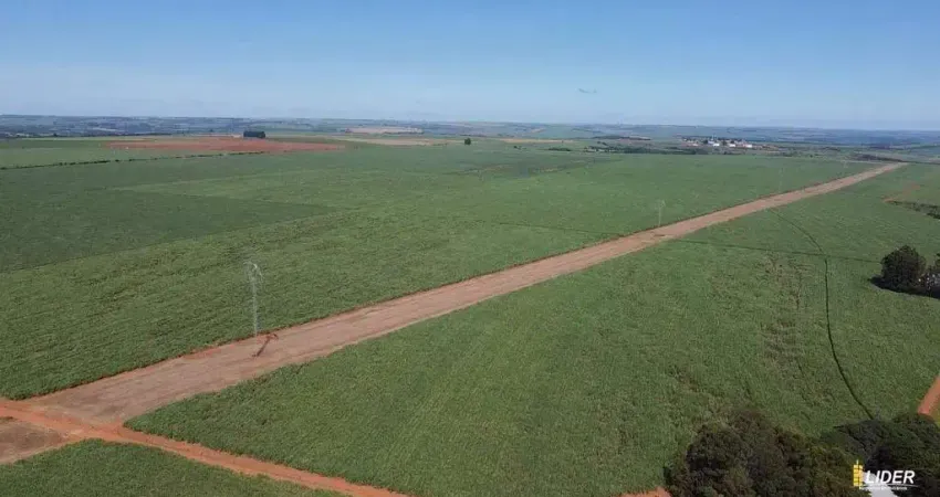 Fazenda à venda, AREA RURAL DE PERDIZES - MG - Perdizes/MG