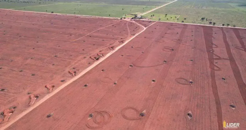 Fazenda à venda, AREA RURAL DE JABORANDI - BA - Jaborandi/BA