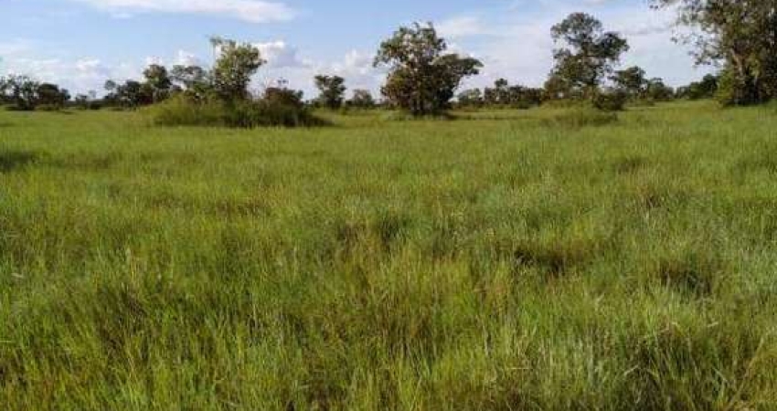 Fazenda à venda, AREA RURAL LUCIARA - MT - Luciara/MT