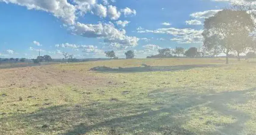Fazenda à venda, AREA RURAL DE VARJAO DE MINAS - MG - Varjão de Minas/MG