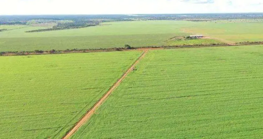 Fazenda à venda, AREA RURAL DE SAO FELIX DO ARAGUAIA - MT - São Félix do Araguaia/MT