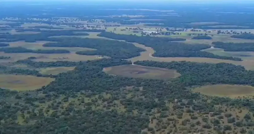 Fazenda à venda, AREA RURAL DA AQUIDAUANA-MS - Aquidauana/MS