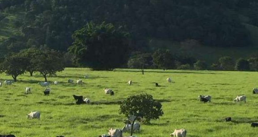 Fazenda à venda, Área rural de Brasilia - BRASILIA/DF