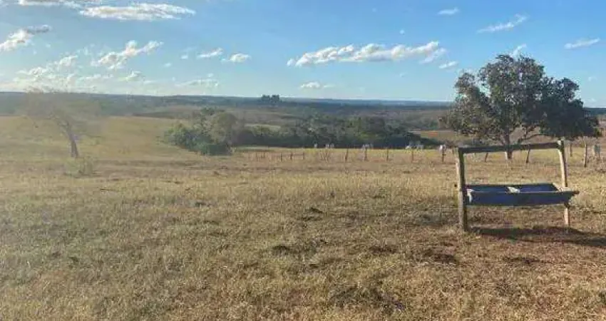 Fazenda à venda, AREA RURAL DE VARJAO DE MINAS - MG - Varjão de Minas/MG