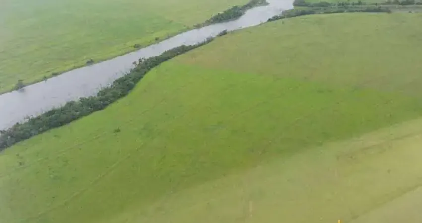 Fazenda à venda, AREA RURAL DE COCALINHO - MT - Cocalinho/MT