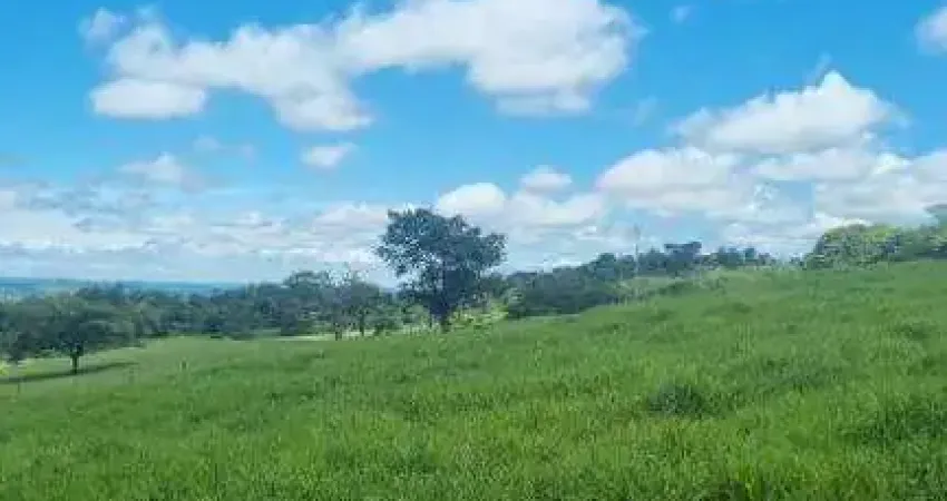Fazenda à venda, AREA RURAL DE GAMELEIRAS - MG - Gameleiras/MG