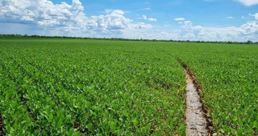 Chácara / sítio à venda na Zona RURAL, Zona Rural, Peixe