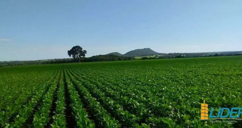 Fazenda à venda, Área Rural de Ipameri - IPAMERI/GO