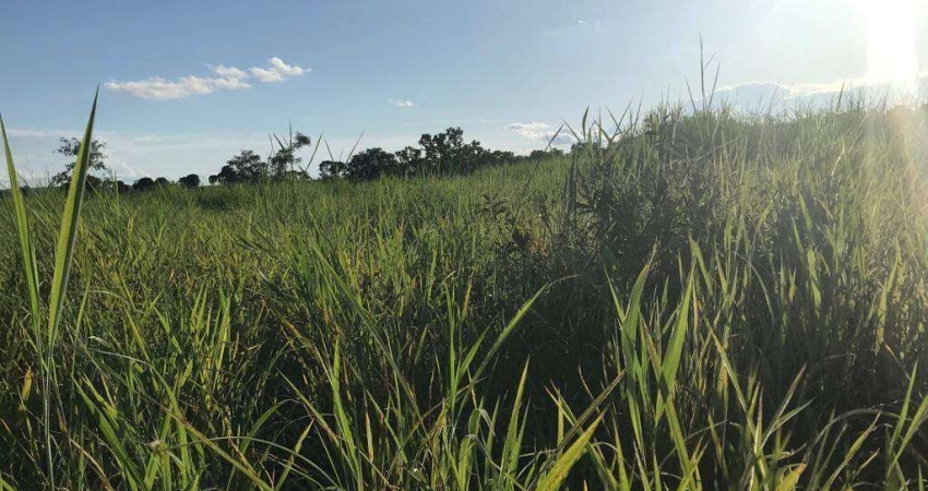 Fazenda à venda, AREA RURAL DE MINAÇU - GO - Minaçu/GO