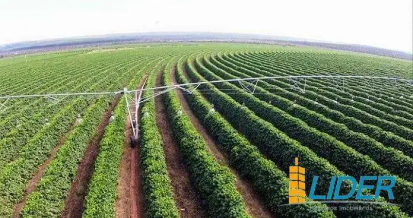 Fazenda à venda, área rural de buritizeiro - buritizeiro/mg