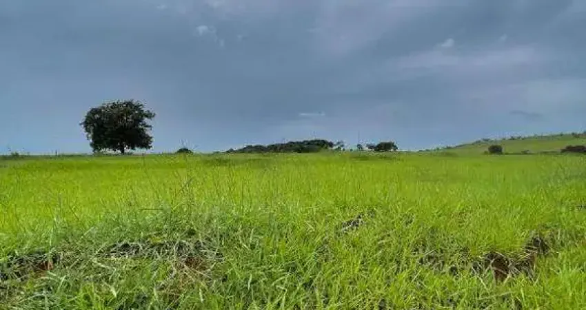 Fazenda à venda, ÁREA RURAL DE UBERLÂNDIA - Uberlândia/MG