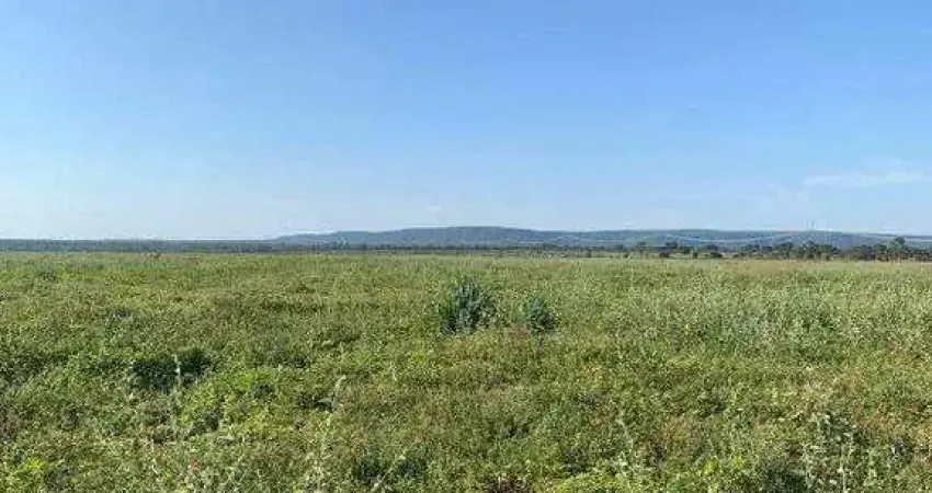 Fazenda à venda, AREA RURAL DE RIACHINHO - MG - Riachinho/MG