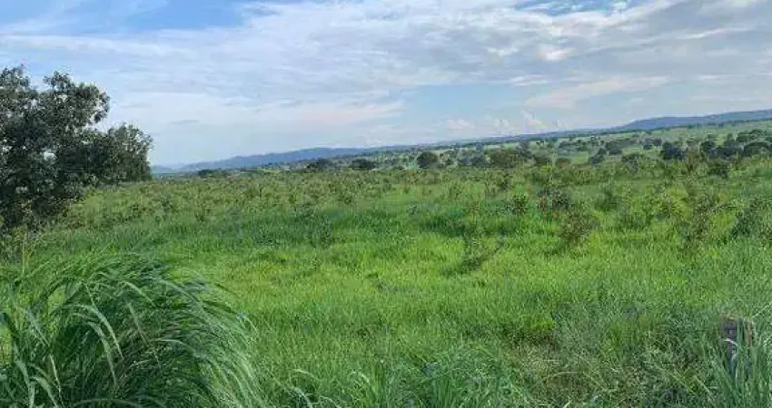 Fazenda à venda, area rural de natalândia/mg - natalândia/mg
