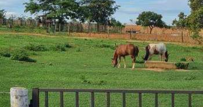 Fazenda à venda, AREA RURAL DE BONFINOPOLIS - MG - Bonfinópolis de Minas/MG